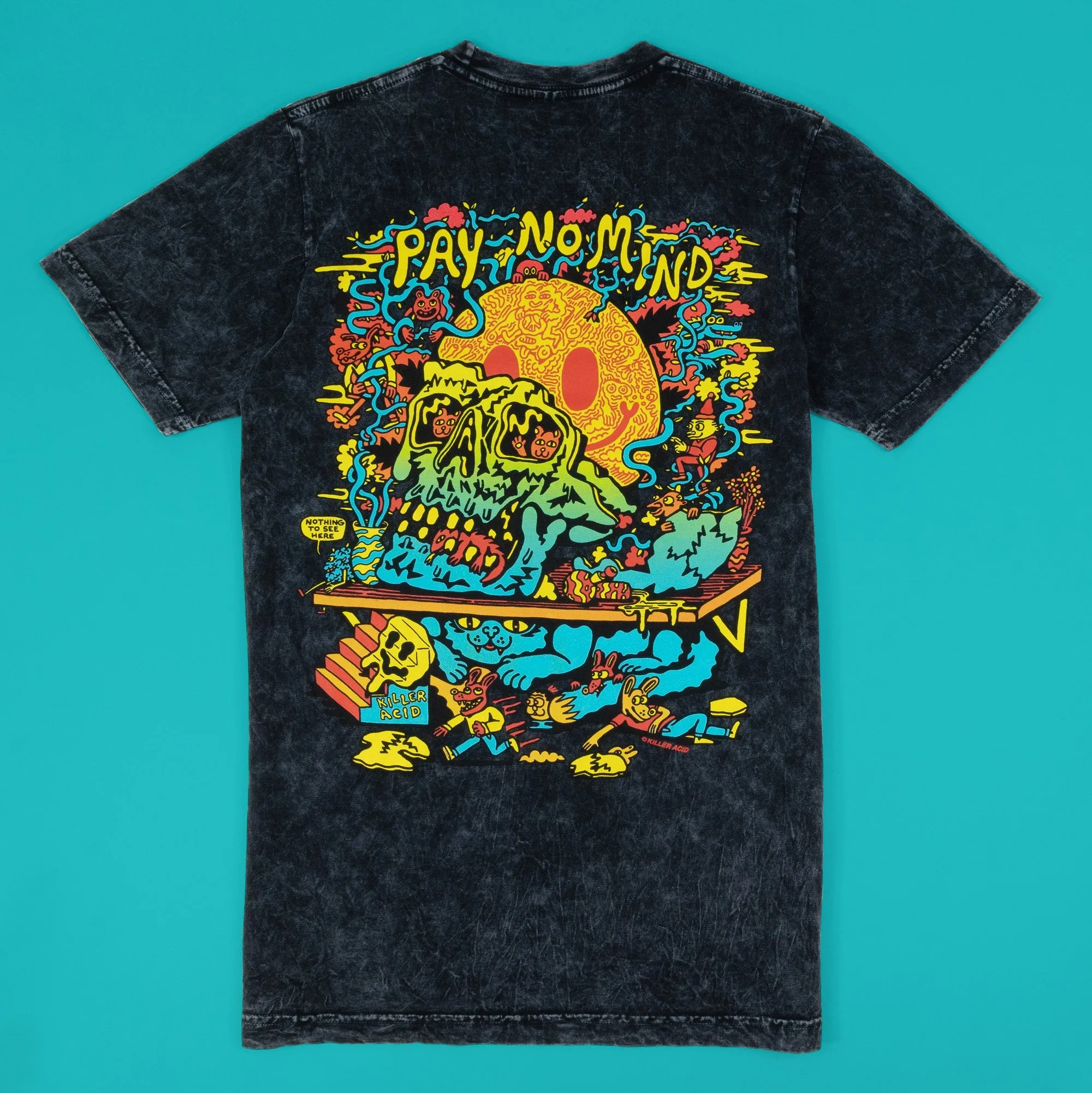 Pay No Mind Vintage Wash T-Shirt